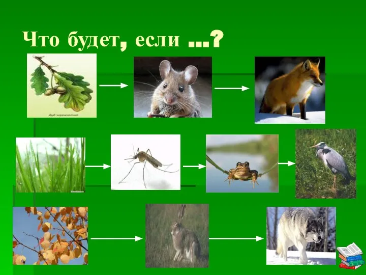 Что будет, если …?