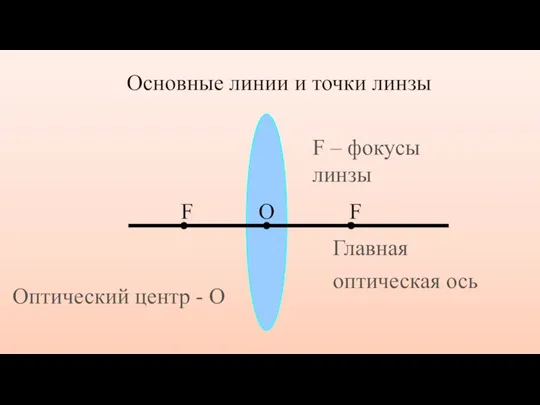 Основные линии и точки линзы Главная оптическая ось О Оптический центр