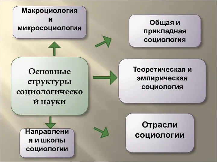 Основные структуры социологической науки Макроциология и микросоциология Общая и прикладная социология