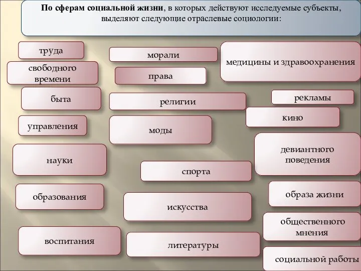 По сферам социальной жизни, в которых действуют исследуемые субъекты, выделяют следующие