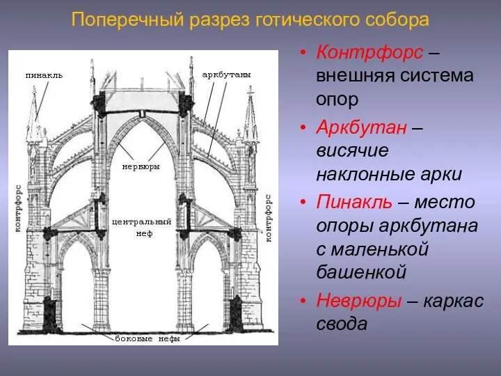 Поперечный разрез готического собора Контрфорс – внешняя система опор Аркбутан –