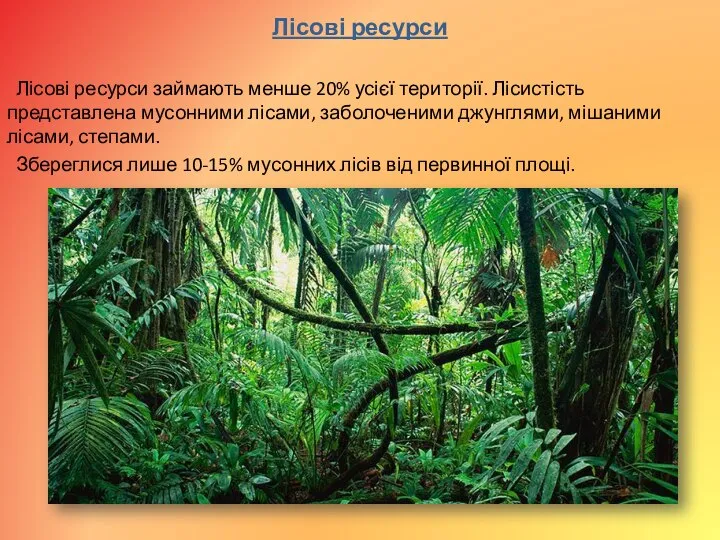 Лісові ресурси Лісові ресурси займають менше 20% усієї території. Лісистість представлена