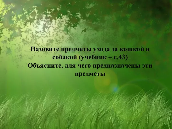 Назовите предметы ухода за кошкой и собакой (учебник – с.43) Объясните, для чего предназначены эти предметы