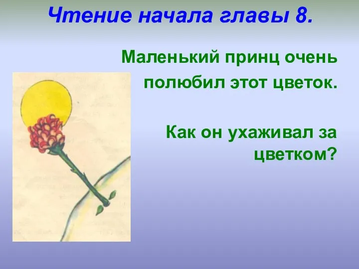 Чтение начала главы 8. Маленький принц очень полюбил этот цветок. Как он ухаживал за цветком?