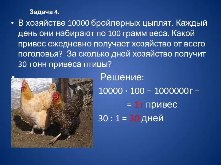 Задача 4. В хозяйстве 10000 бройлерных цыплят. Каждый день они набирают