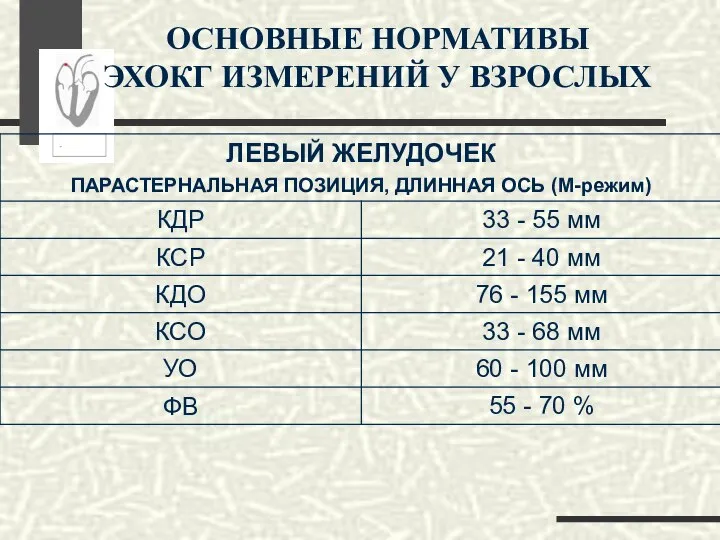 ОСНОВНЫЕ НОРМАТИВЫ ЭХОКГ ИЗМЕРЕНИЙ У ВЗРОСЛЫХ