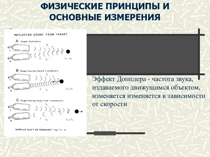 ФИЗИЧЕСКИЕ ПРИНЦИПЫ И ОСНОВНЫЕ ИЗМЕРЕНИЯ Эффект Допплера - частота звука, издаваемого