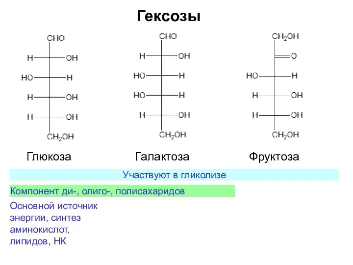 Гексозы Галактоза Глюкоза Фруктоза Участвуют в гликолизе Компонент ди-, олиго-, полисахаридов