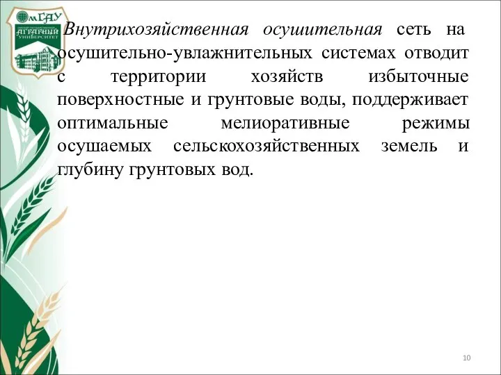 Внутрихозяйственная осушительная сеть на осушительно-увлажнительных системах отводит с территории хозяйств избыточные