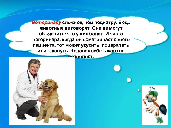 Ветеринару сложнее, чем педиатру. Ведь животные не говорят. Они не могут