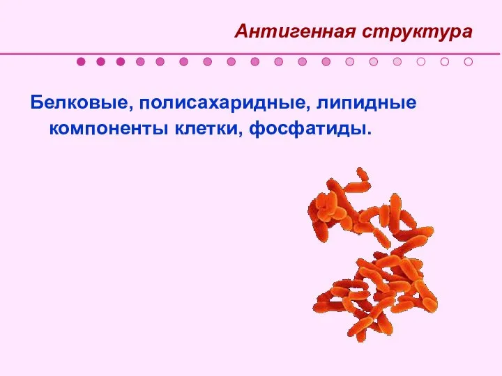 Антигенная структура Белковые, полисахаридные, липидные компоненты клетки, фосфатиды.