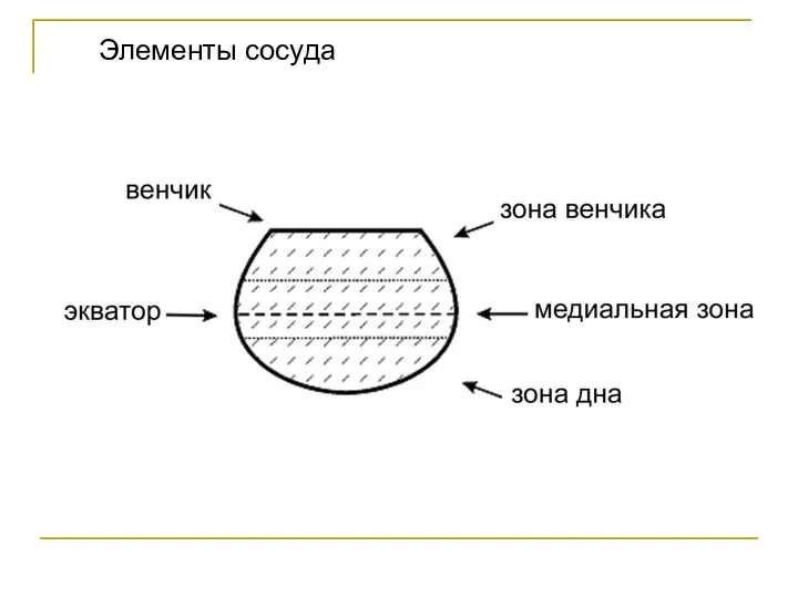 Элементы сосуда