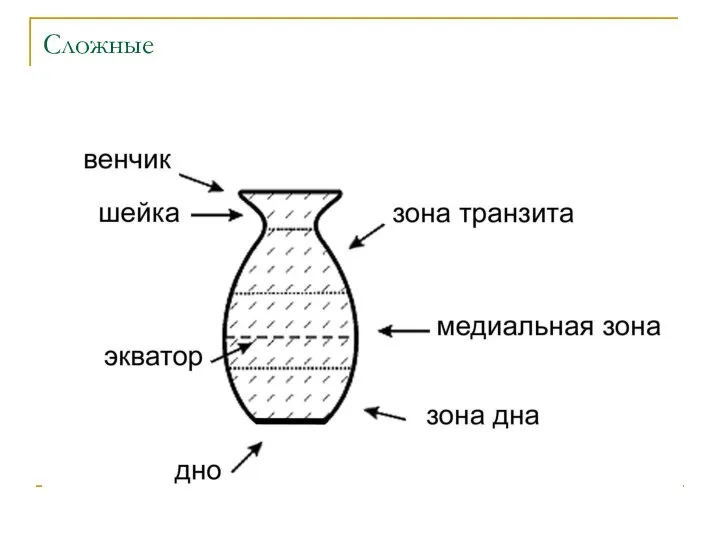 Сложные