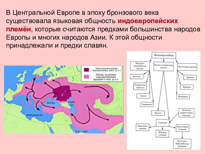 В Центральной Европе в эпоху бронзового века существовала языковая общность индоевропейских