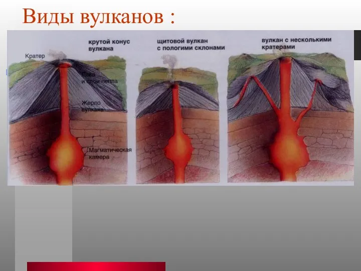 Виды вулканов :