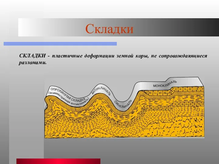 Складки СКЛАДКИ - пластичные деформации земной коры, не сопровождающиеся разломами.