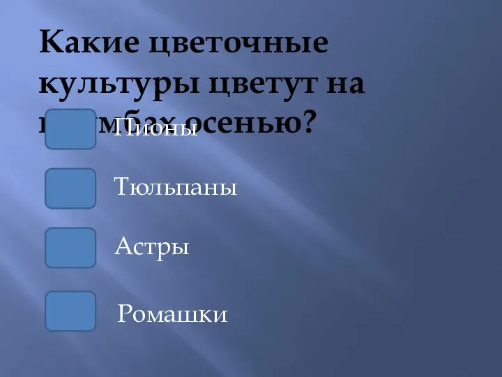 Какие цветочные культуры цветут на клумбах осенью? Тюльпаны Пионы Астры Ромашки