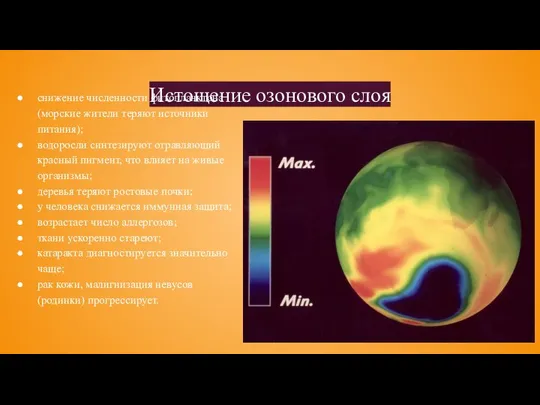 Истощение озонового слоя снижение численности фитопланктона (морские жители теряют источники питания);