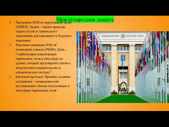 Международная защита Программа ООН по окружающей среде (ЮНЕП). Задача – охрана