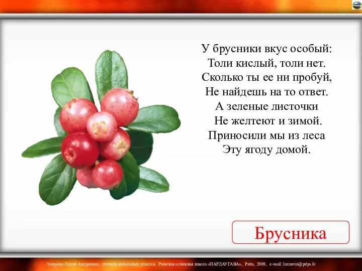 Брусника У брусники вкус особый: Толи кислый, толи нет. Сколько ты