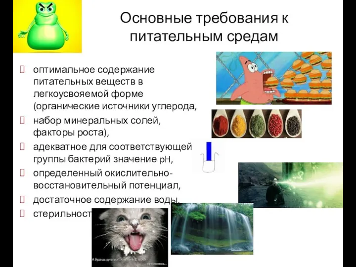 Основные требования к питательным средам оптимальное содержание питательных веществ в легкоусвояемой