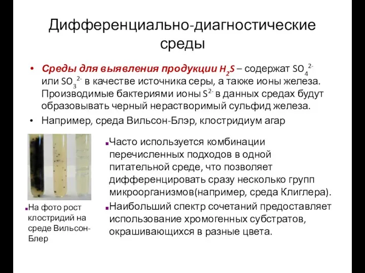 Дифференциально-диагностические среды Среды для выявления продукции H2S – содержат SO42- или