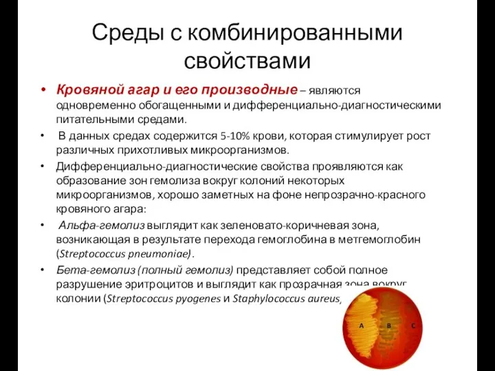 Среды с комбинированными свойствами Кровяной агар и его производные – являются