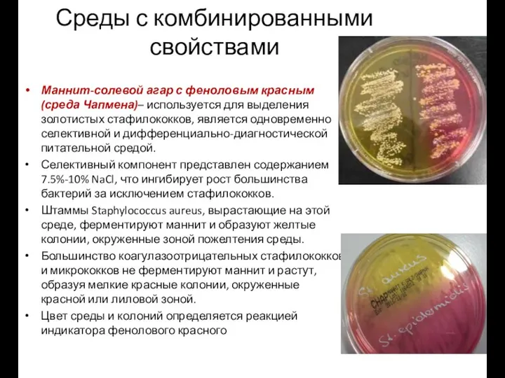 Среды с комбинированными свойствами Маннит-солевой агар с феноловым красным (среда Чапмена)–