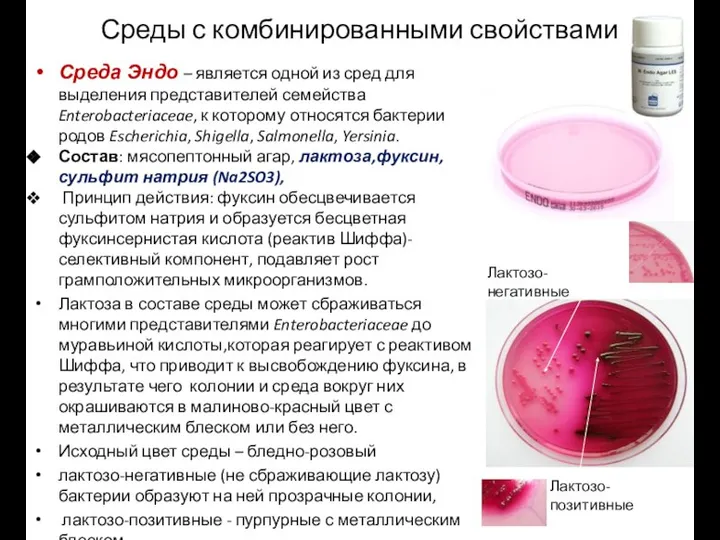 Среды с комбинированными свойствами Среда Эндо – является одной из сред