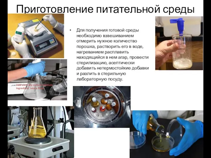 Приготовление питательной среды Для получения готовой среды необходимо взвешиванием отмерить нужное