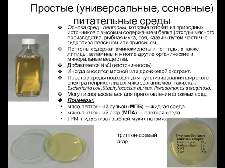 Простые (универсальные, основные) питательные среды Основа сред - пептоны, которые готовят