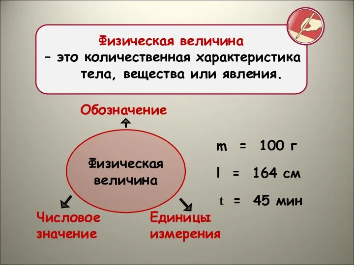 m = 100 г l = 164 см t = 45