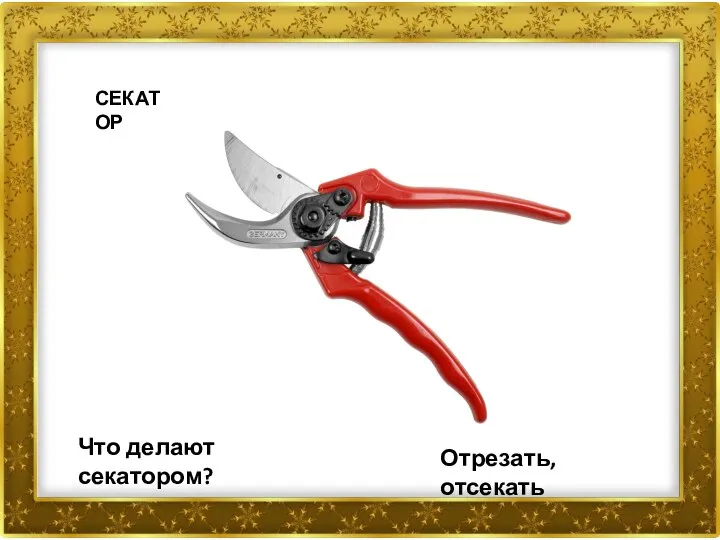 СЕКАТОР Что делают секатором? Отрезать, отсекать