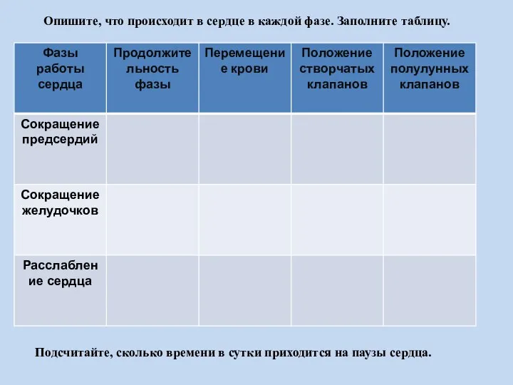 Подсчитайте, сколько времени в сутки приходится на паузы сердца. Опишите, что