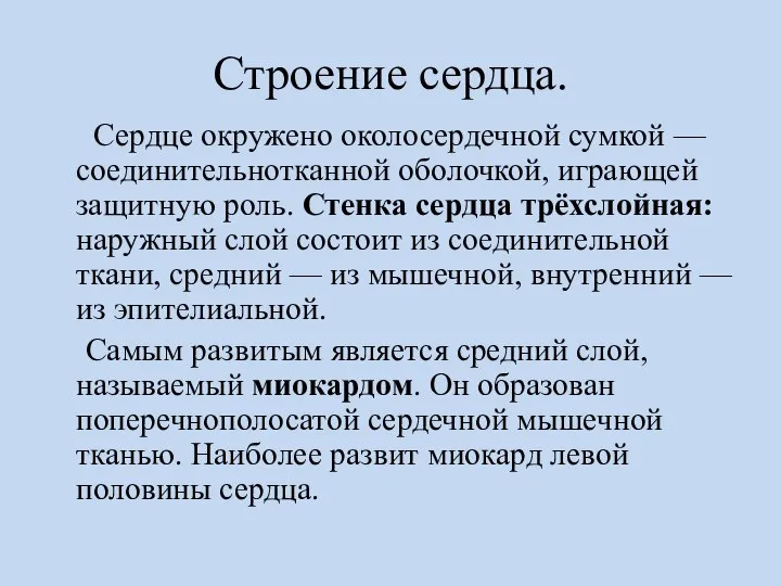 Строение сердца. Сердце окружено околосердечной сумкой — соединительнотканной оболочкой, играющей защитную