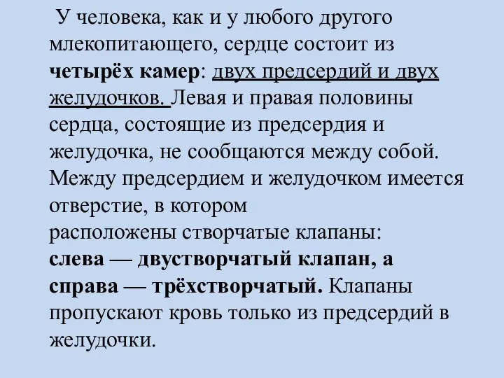 У человека, как и у любого другого млекопитающего, сердце состоит из