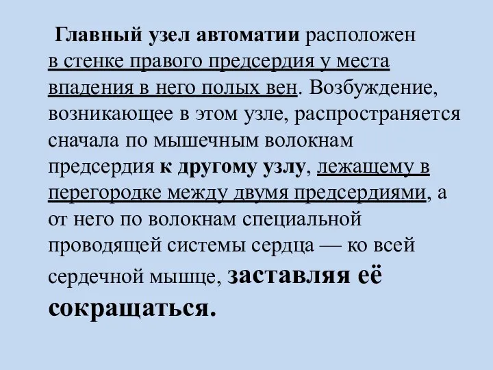 Главный узел автоматии расположен в стенке правого предсердия у места впадения