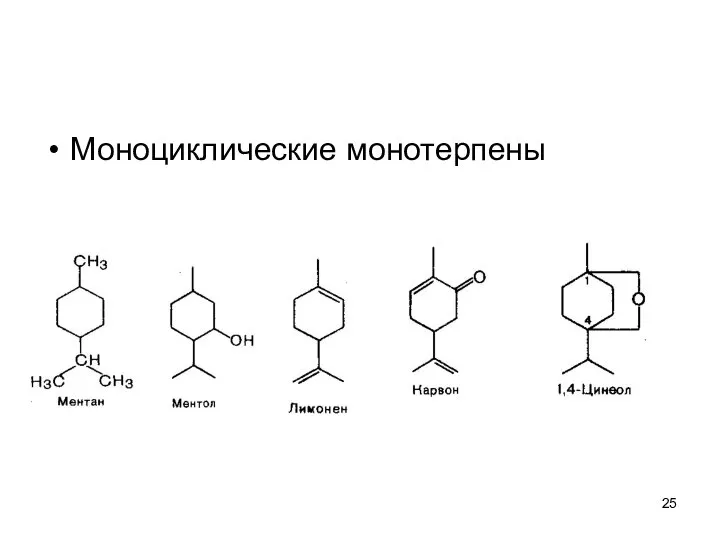 Моноциклические монотерпены