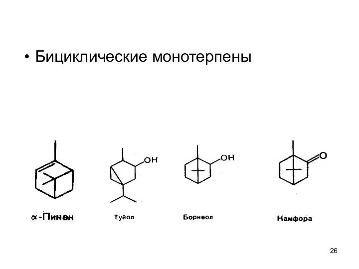 Бициклические монотерпены