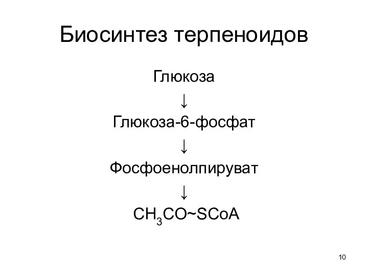 Биосинтез терпеноидов Глюкоза ↓ Глюкоза-6-фосфат ↓ Фосфоенолпируват ↓ CH3CO~SCoA