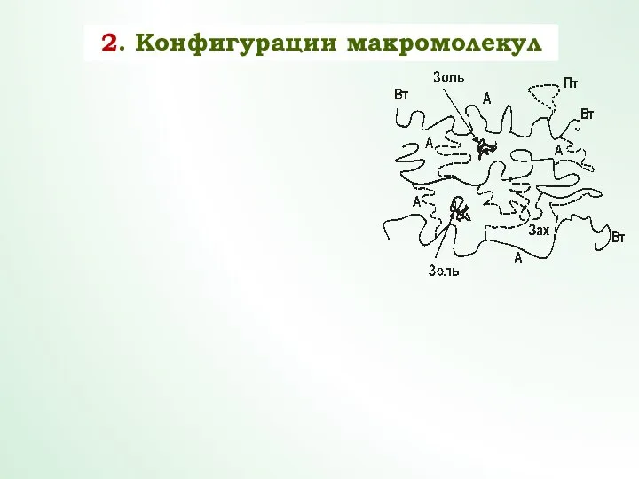 2. Конфигурации макромолекул а) линейная б) разветвленная в) многократно разветвленная г)