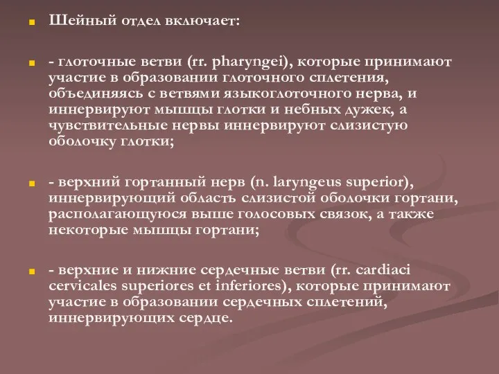 Шейный отдел включает: - глоточные ветви (rr. pharyngei), которые принимают участие