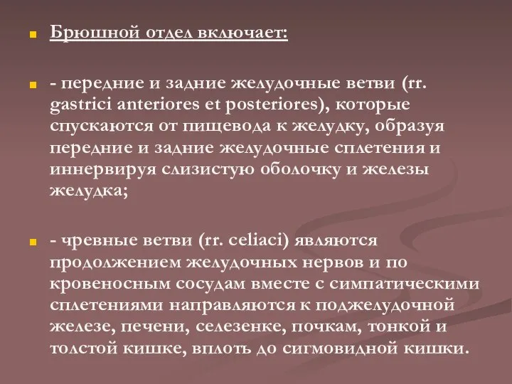 Брюшной отдел включает: - передние и задние желудочные ветви (rr. gastrici