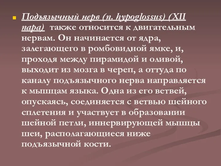 Подъязычный нерв (n. hypoglossus) (XII пара) также относится к двигательным нервам.