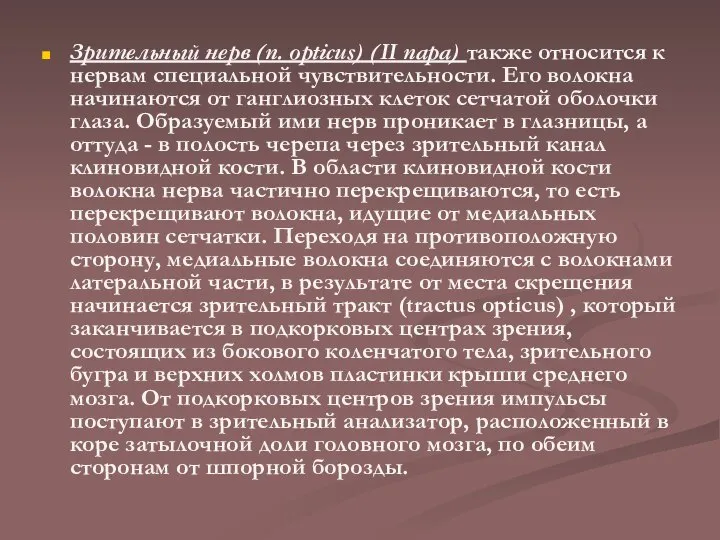 Зрительный нерв (n. opticus) (II пара) также относится к нервам специальной