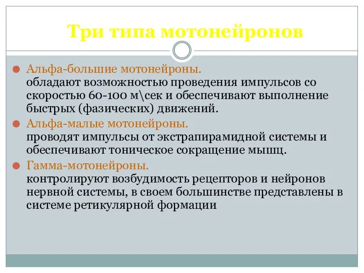 Три типа мотонейронов Альфа-большие мотонейроны. обладают возможностью проведения импульсов со скоростью