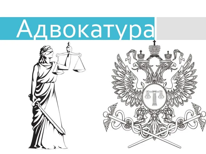 Адвокатура