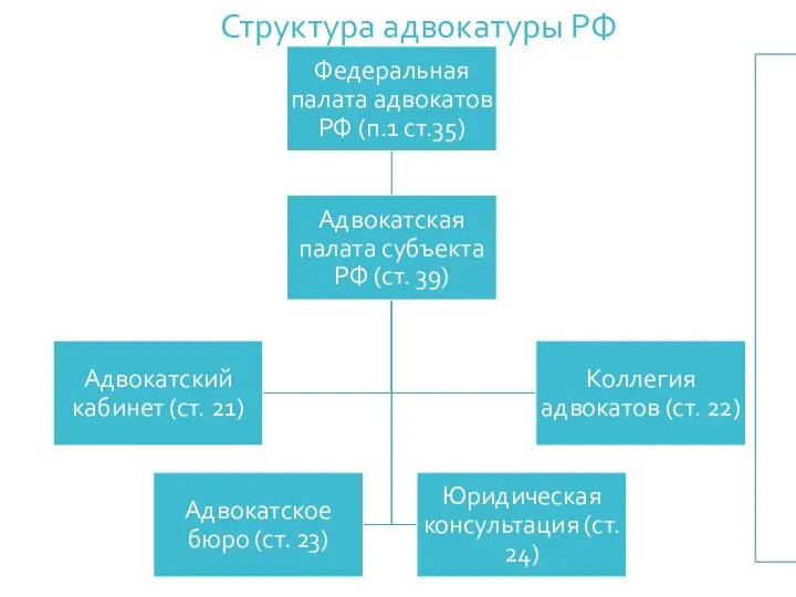 Структура адвокатуры РФ