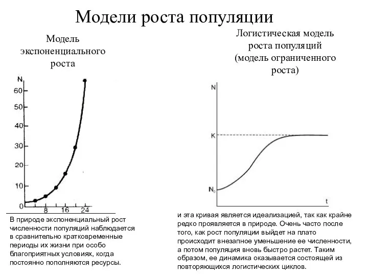 Модели роста популяции Модель экспоненциального роста В природе экспоненциальный рост численности