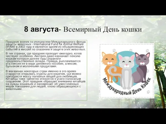 8 августа- Всемирный День кошки Праздник возник по инициативе Международного фонда